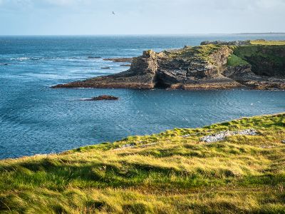 title="See More Tours"