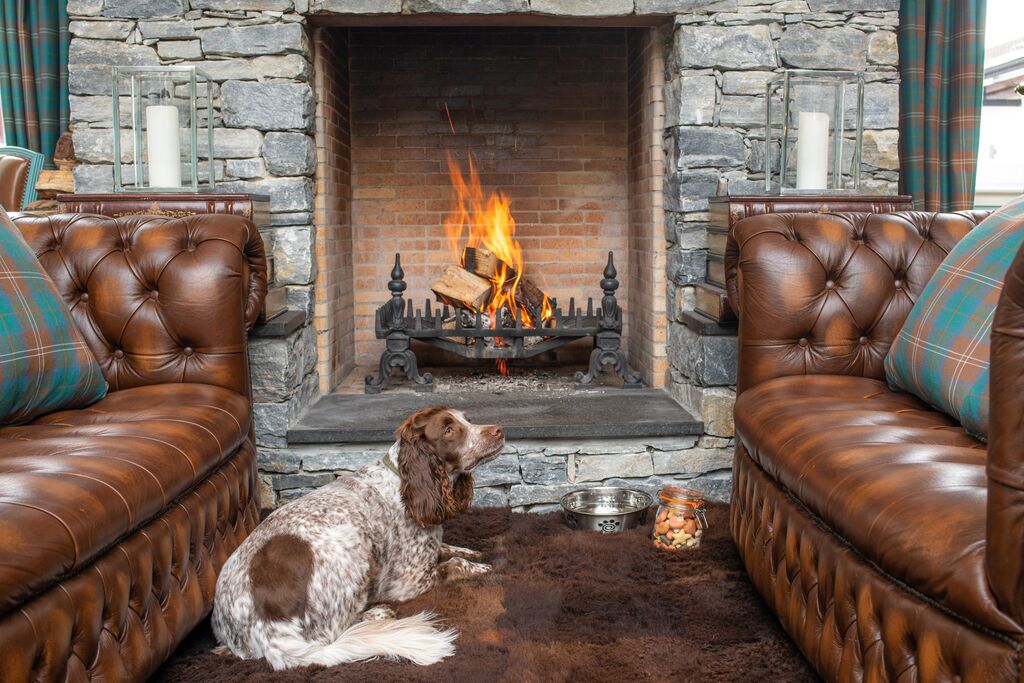Fireplace with a small dog resting on the floor in the Grand Room at The Skye Inn