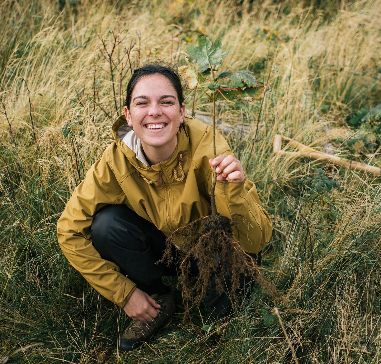 Young woman holding an oak sapling in her hands on open ground in Torrmore Forest, Isle of Skye